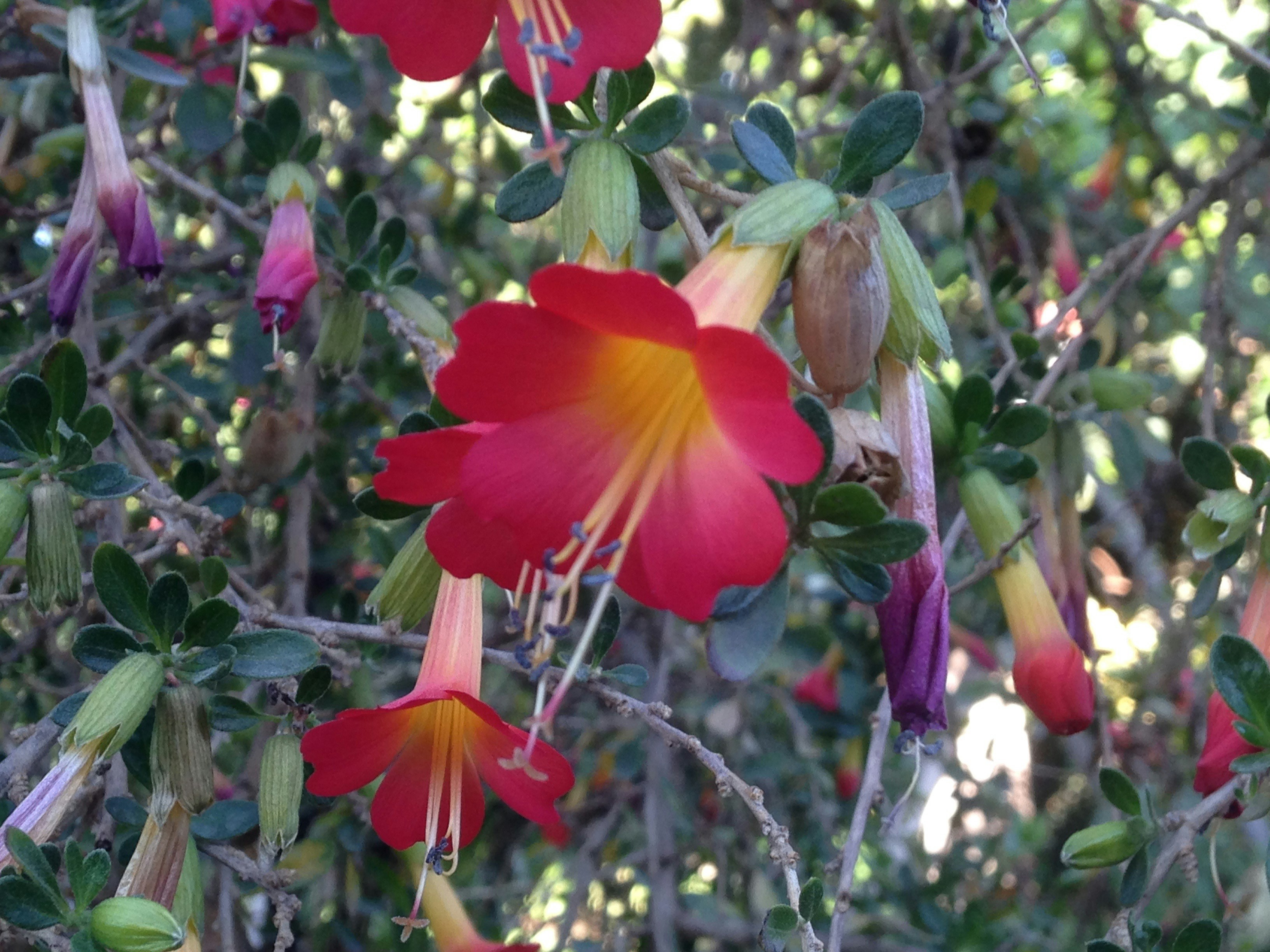 Free Unsplash photo from Jordan Capa