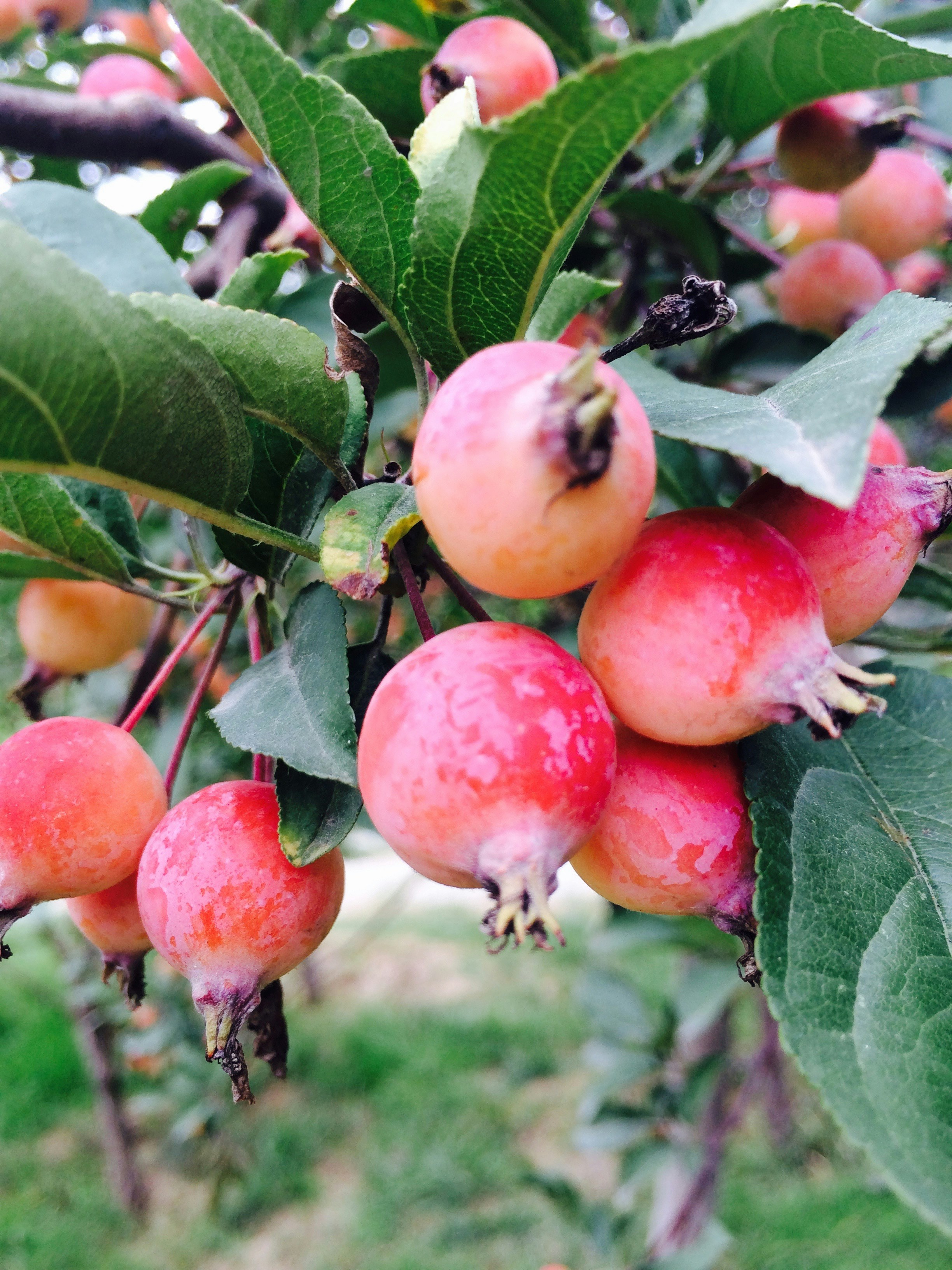 Free Unsplash photo from King Zhi