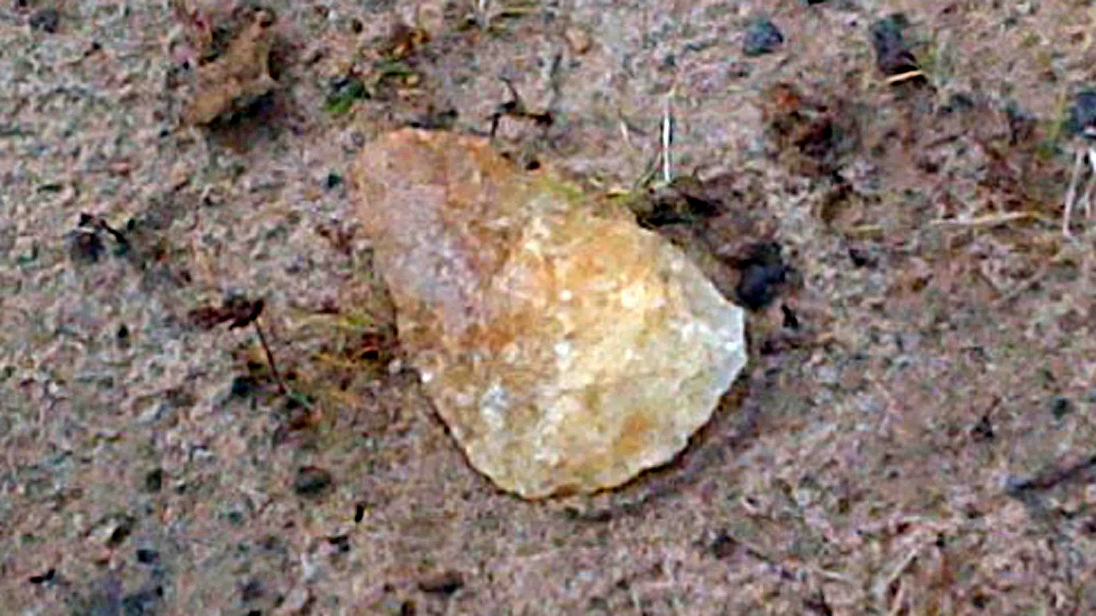 Free Unsplash photo from David Lytle