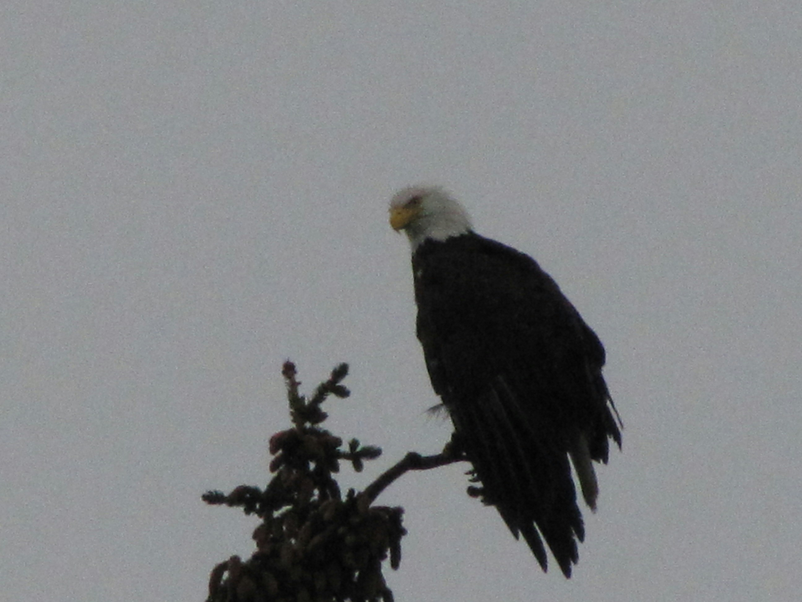 Free Unsplash photo from David Lytle