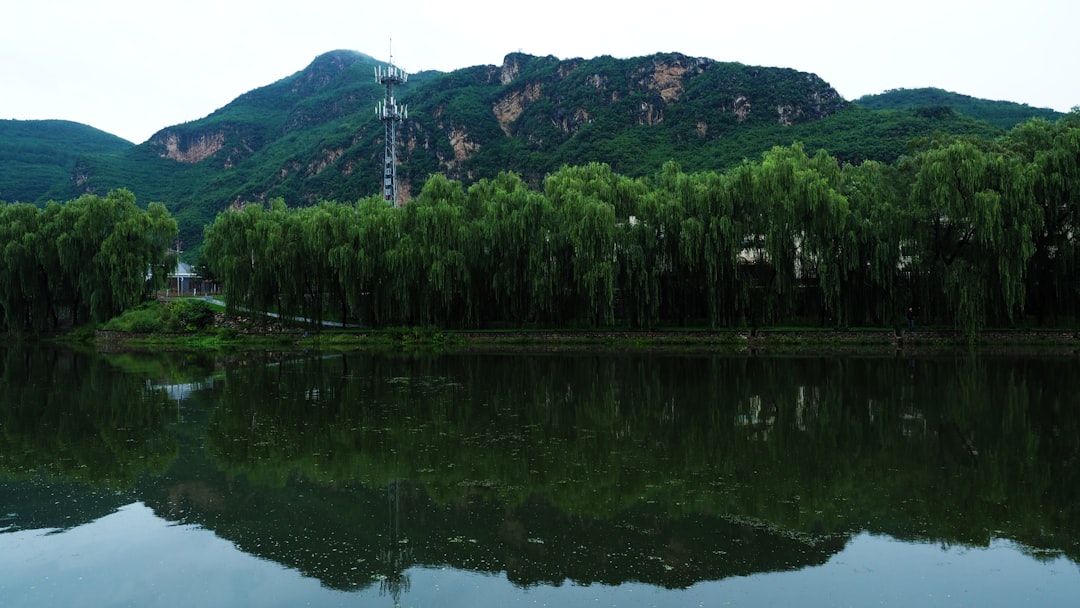 landscape photography of lake surrounded with trees