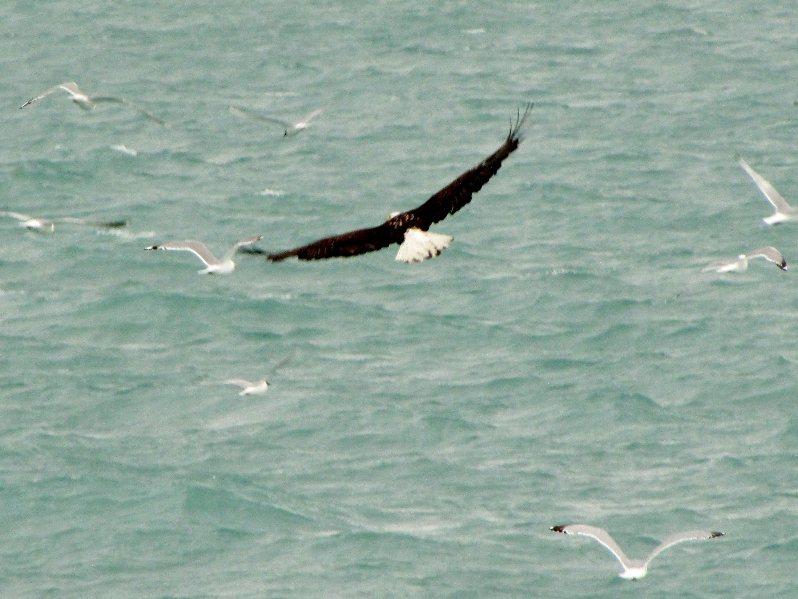 Free Unsplash photo from David Lytle