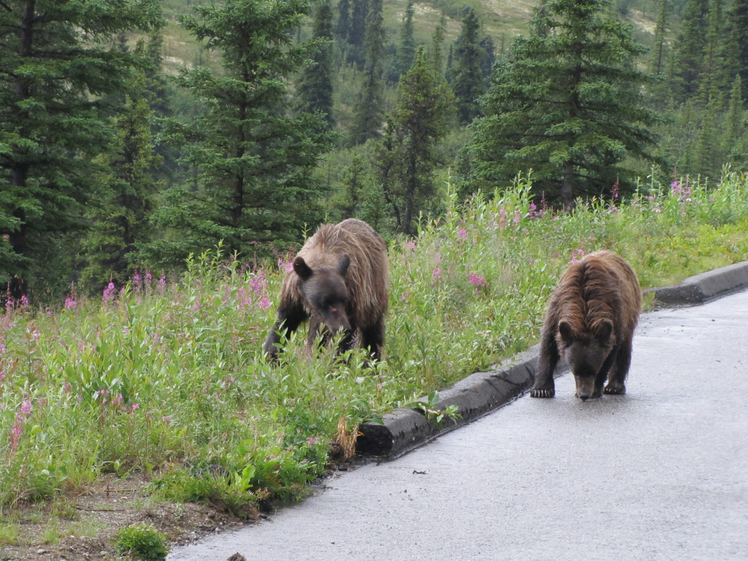 Free Unsplash photo from David Lytle