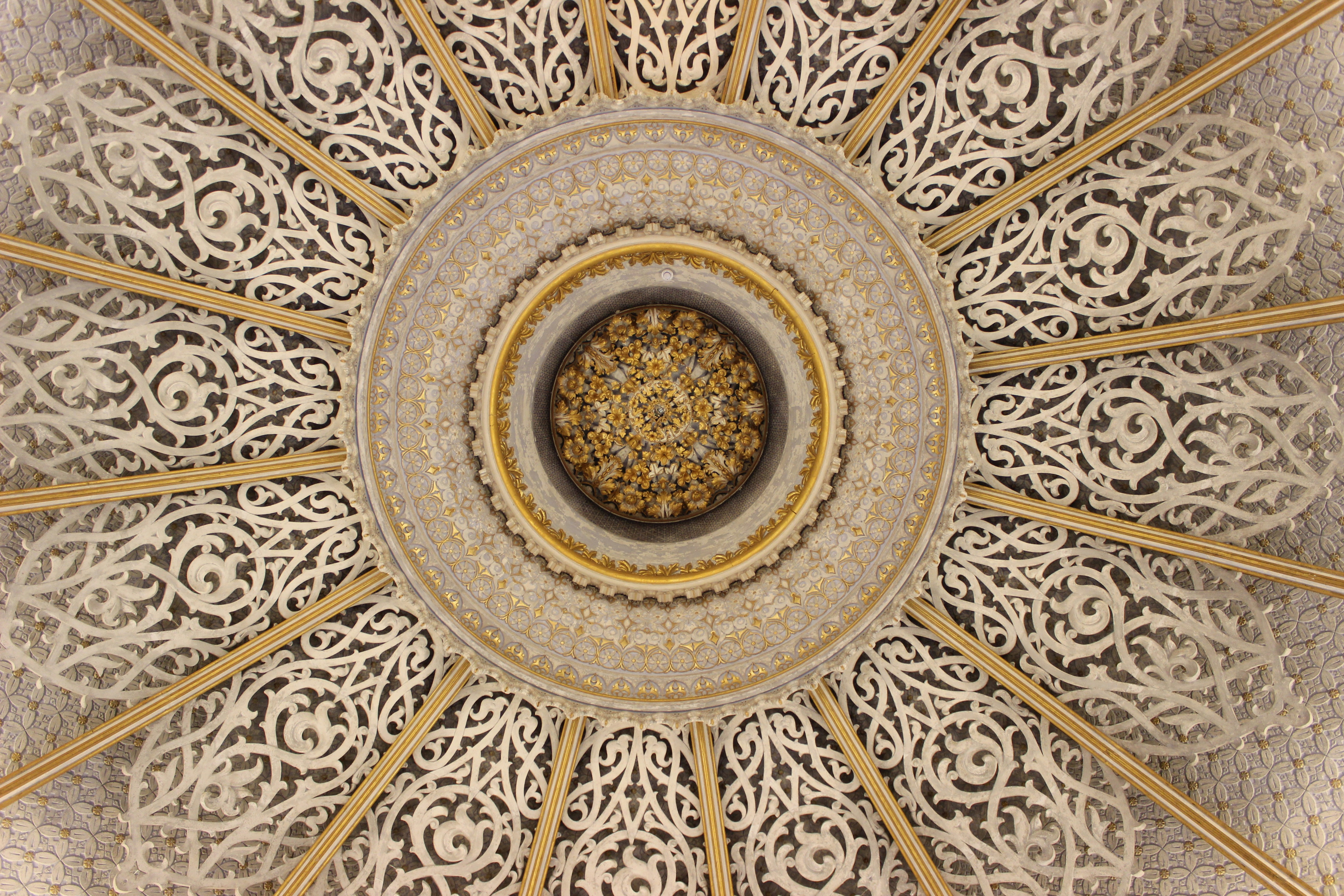 Free Unsplash photo from Paulo Simões Mendes