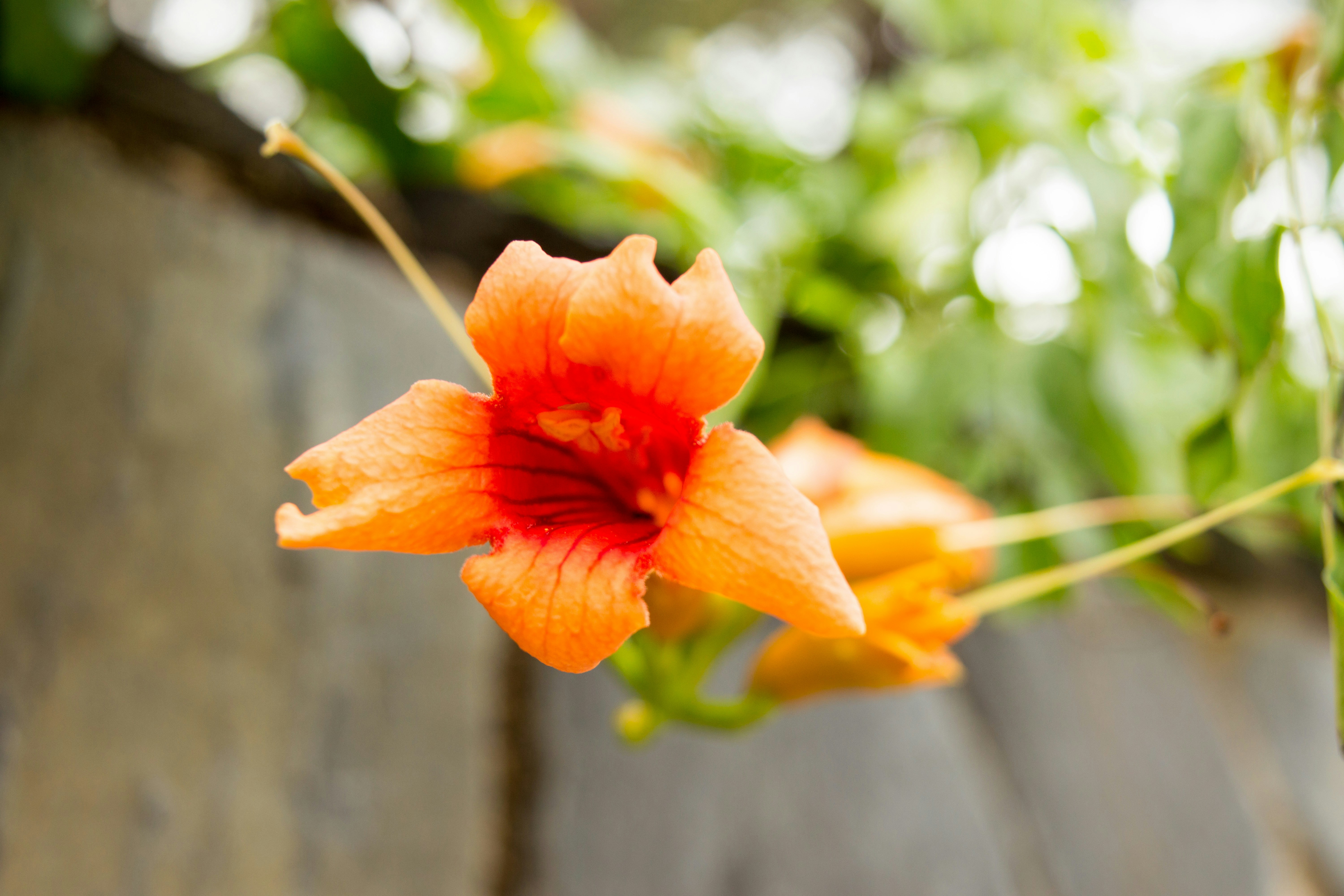 Free Unsplash photo from Marco Biedermann