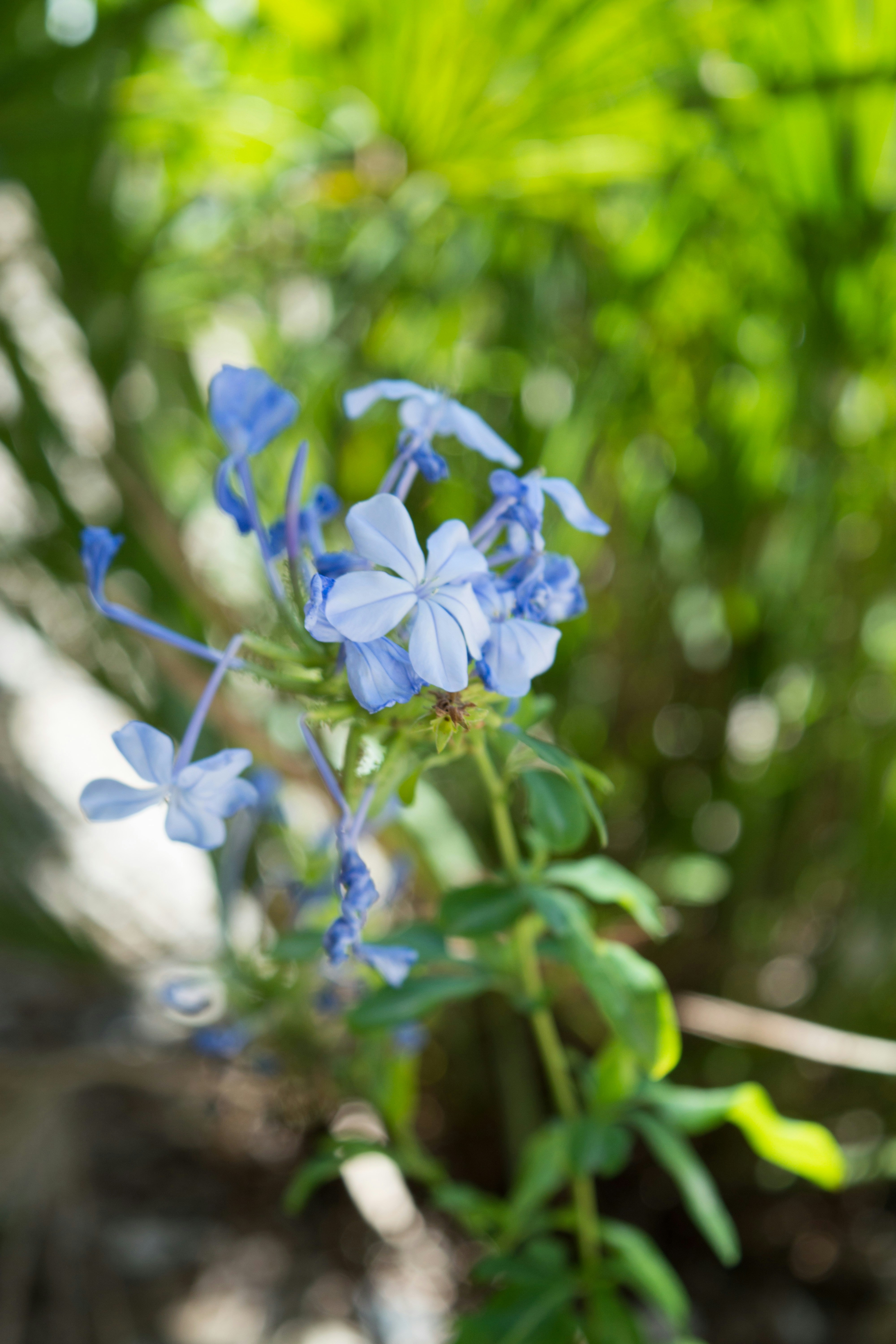 Free Unsplash photo from Marco Biedermann