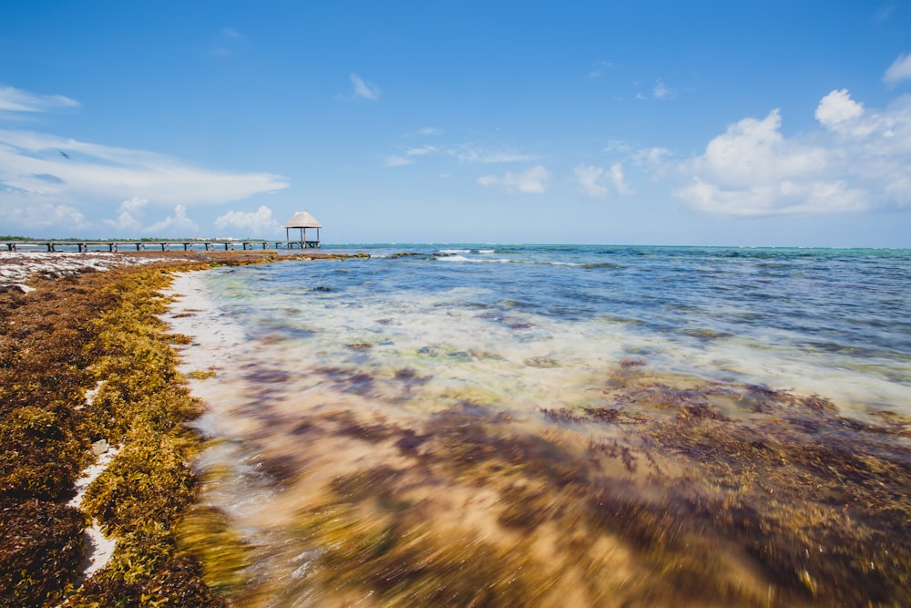 muelle de madera marrón con gazebo en la orilla de la playa