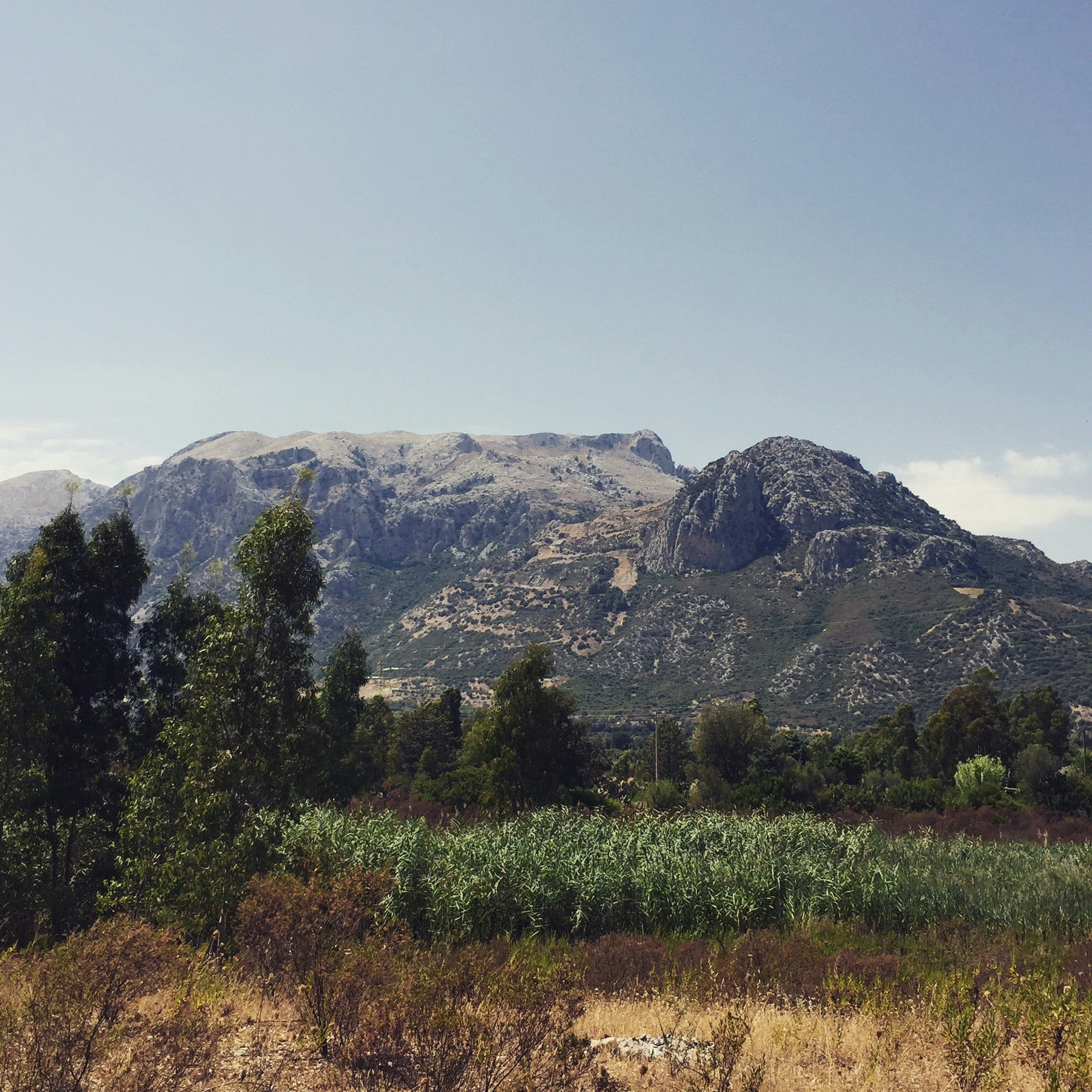 Free Unsplash photo from Samuel Kuhn