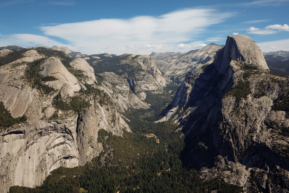 mountains and forest during daytime