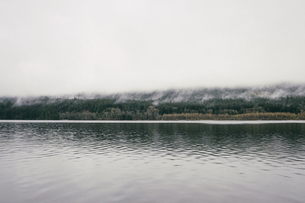 body of water near green trees under cloudy sky