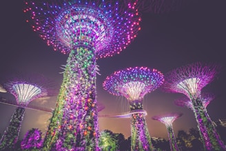 multicolored lights on posts