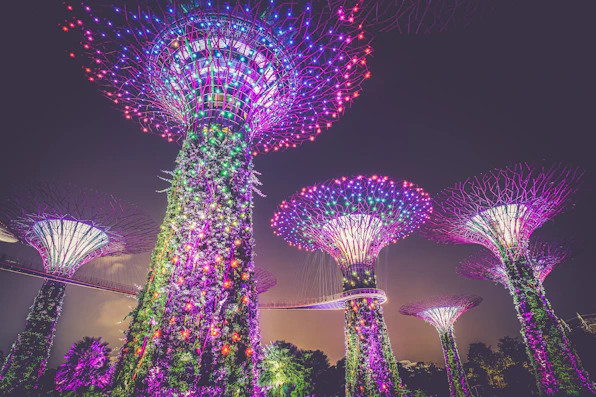 multicolored lights on posts