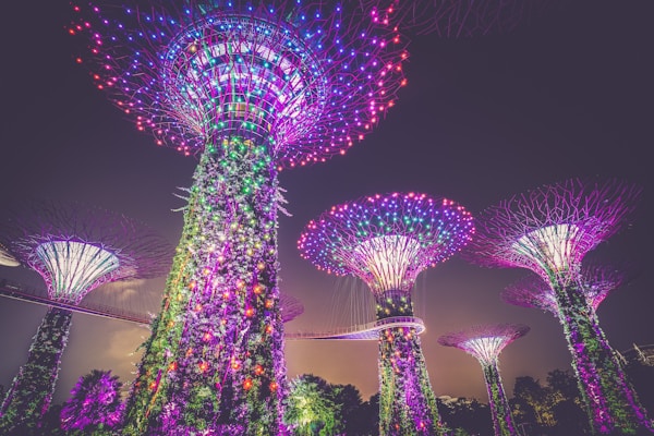 multicolored lights on posts