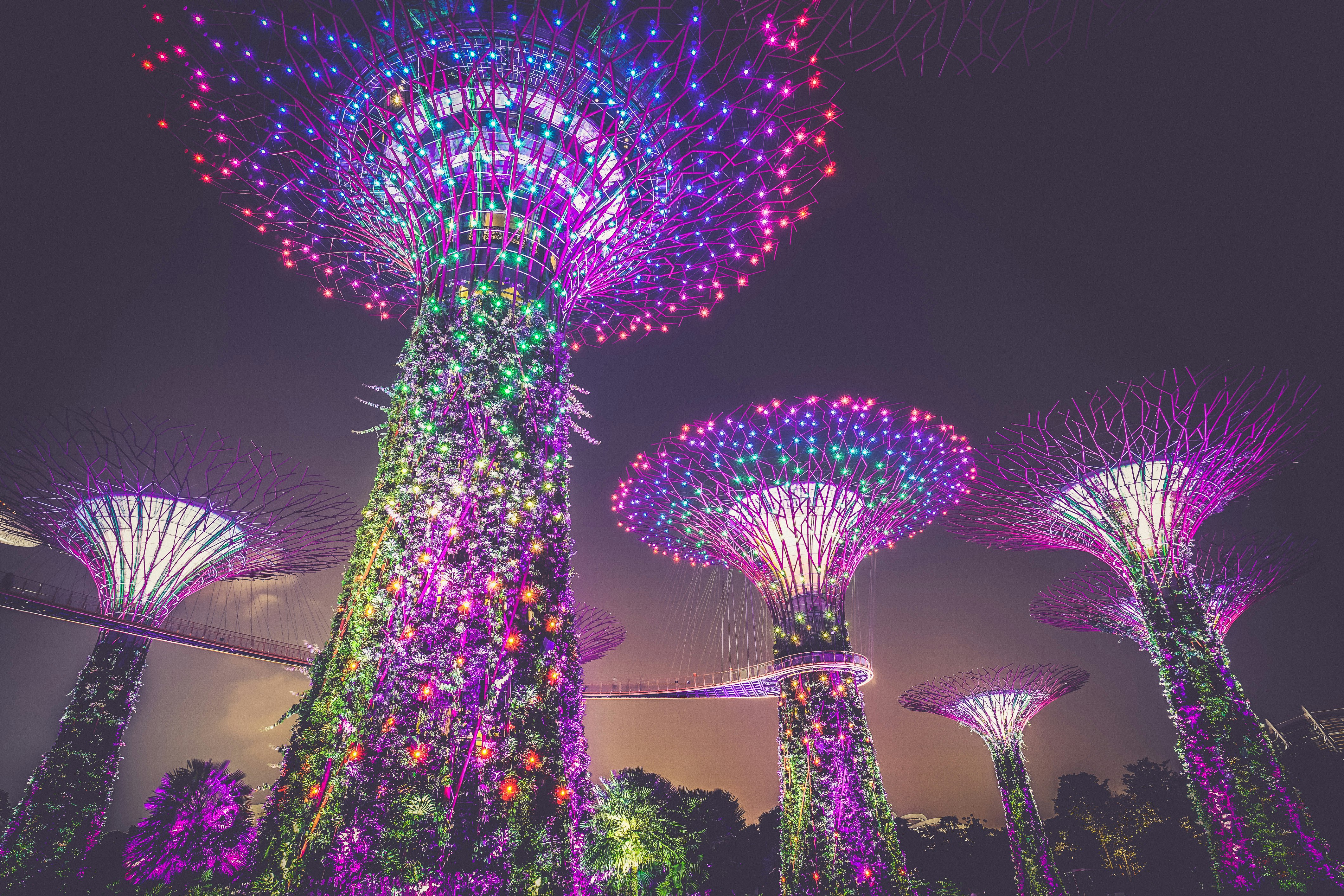 multicolored lights on posts