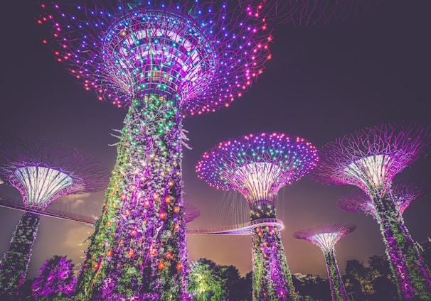 multicolored lights on posts