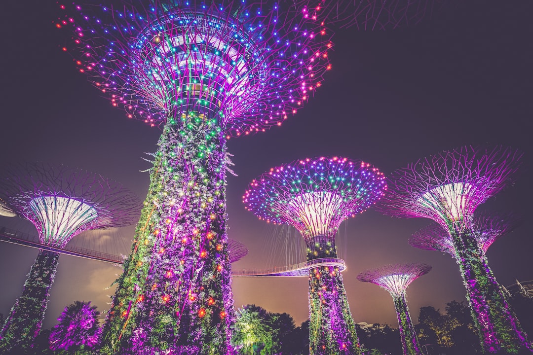 multicolored lights on posts, 