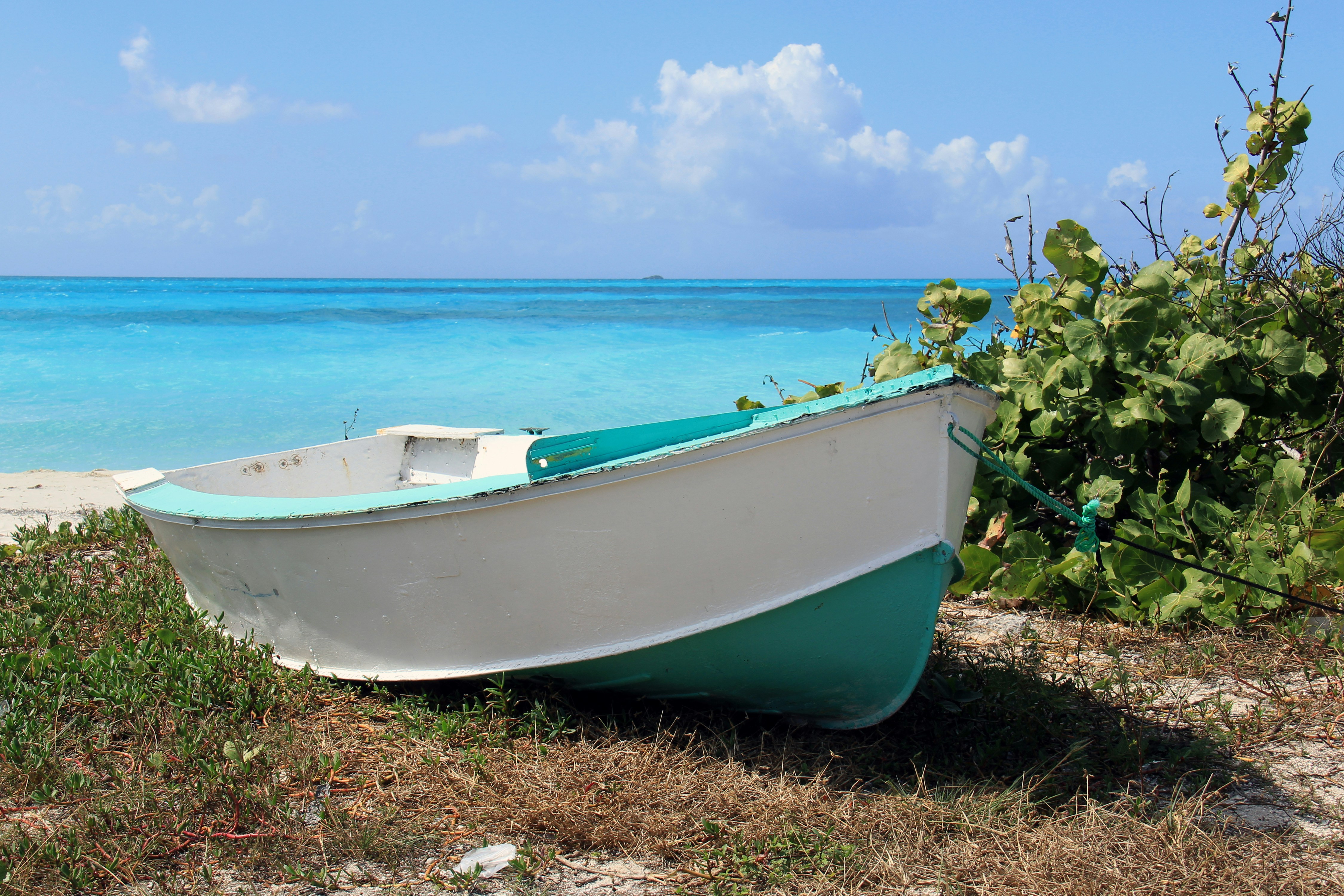 Free Unsplash photo from Philippe Larose