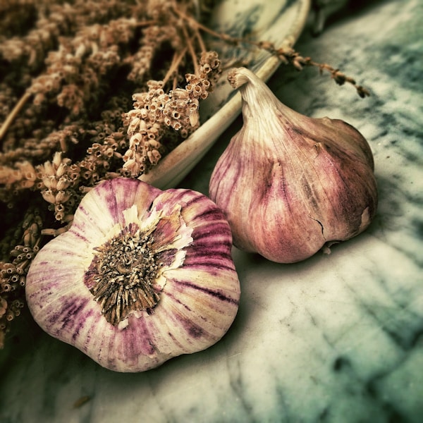 two garlic in shallow focus photography