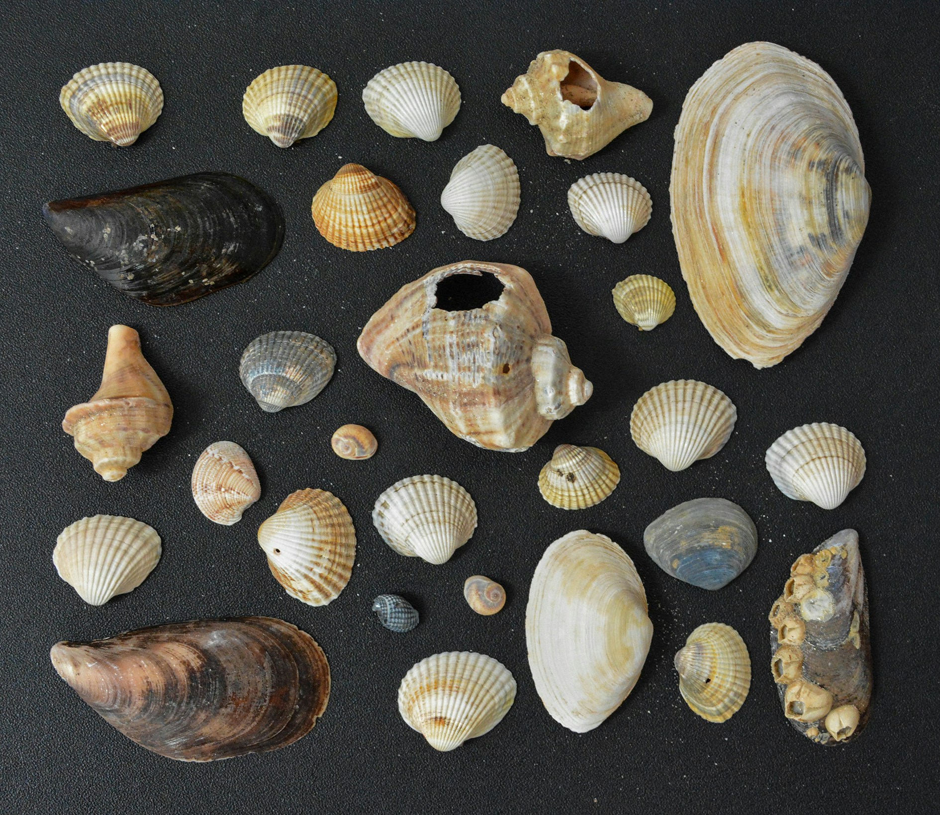 Free Unsplash photo from Alex Mihis