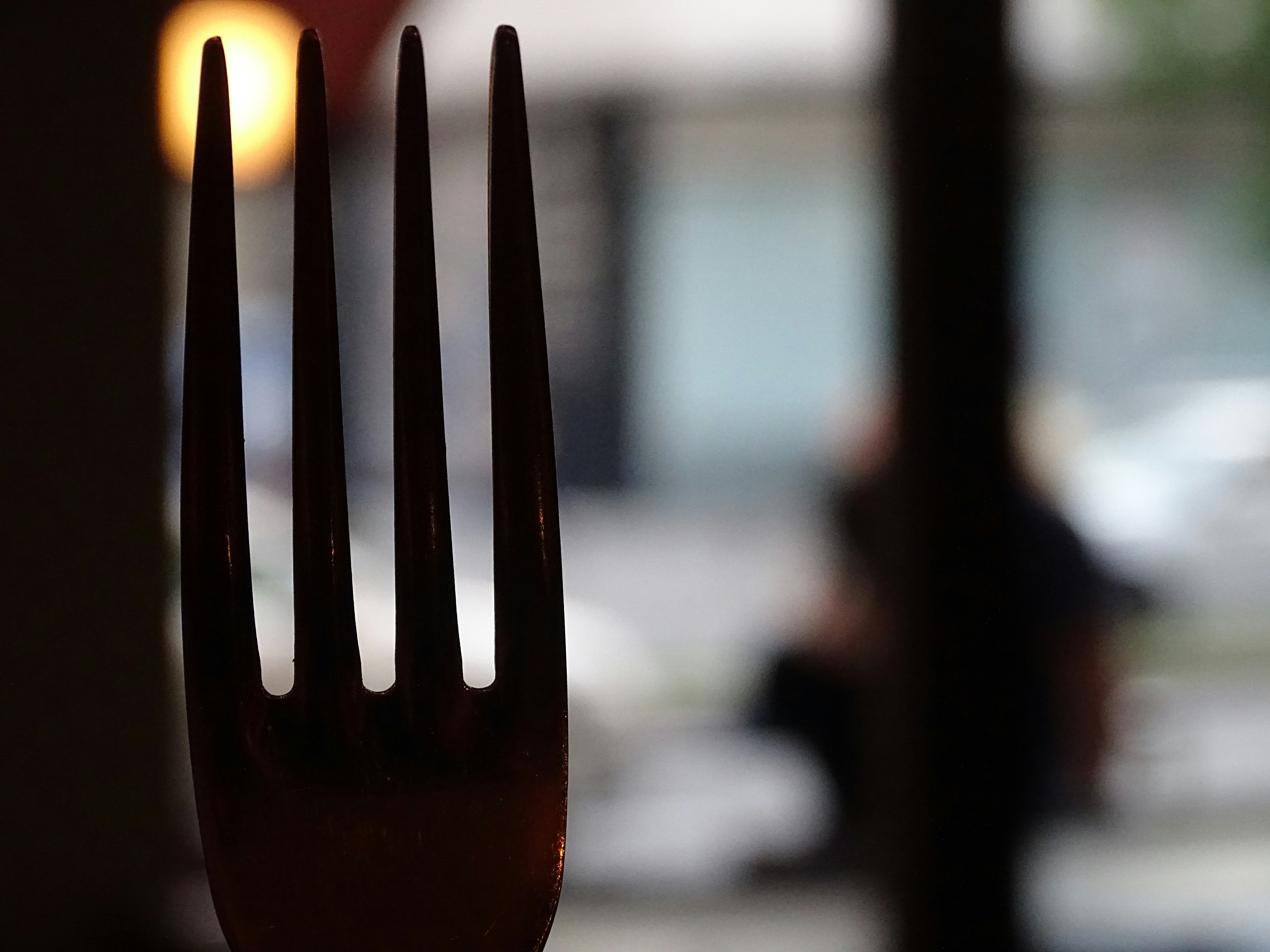 Free Unsplash photo from Maya Bielik