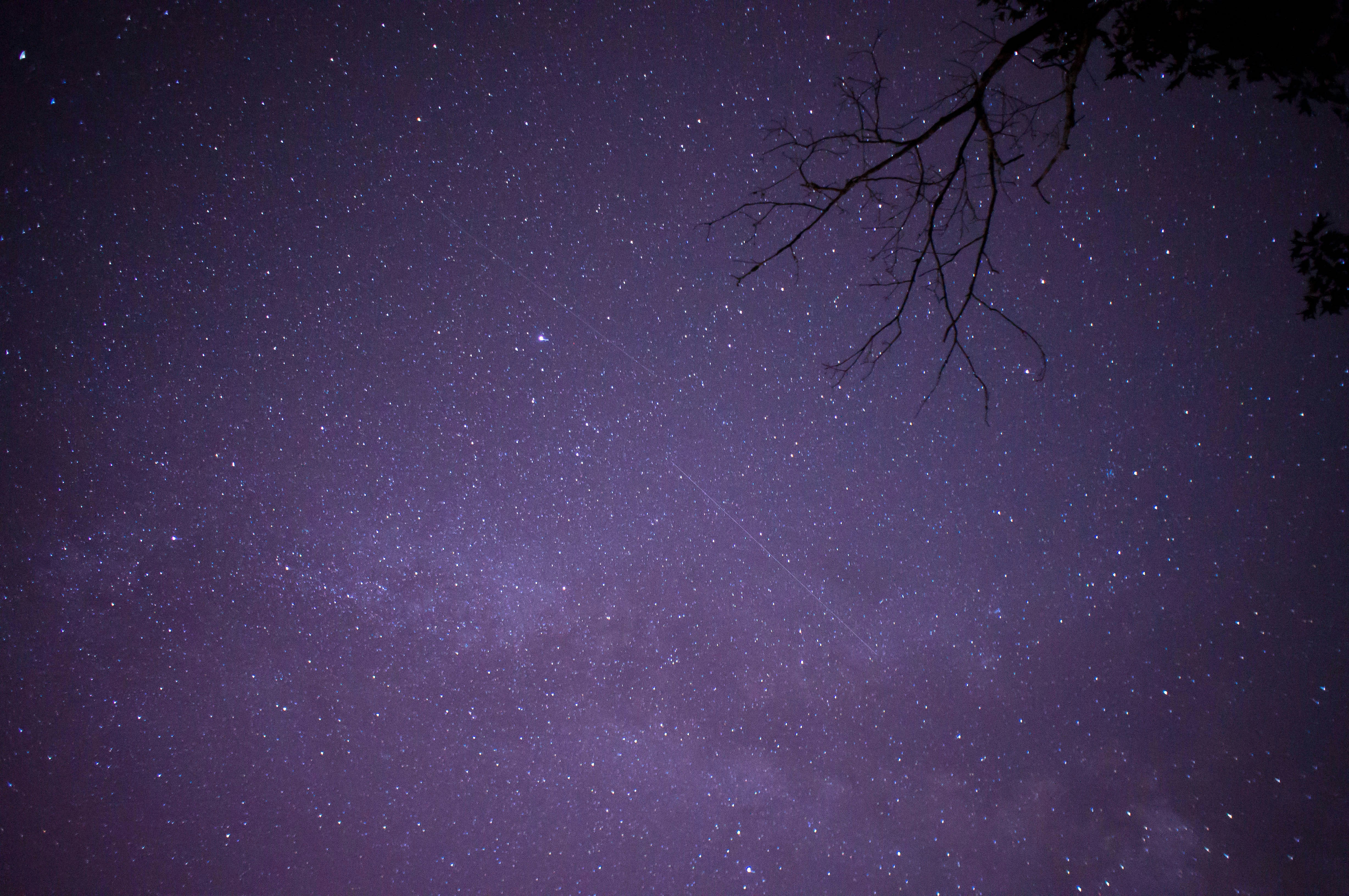 Free Unsplash photo from Andrew Jenkins