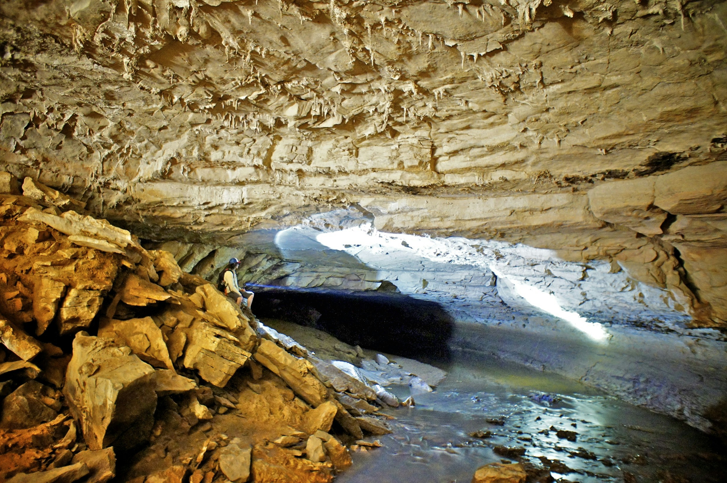 Free Unsplash photo from Andrew Jenkins