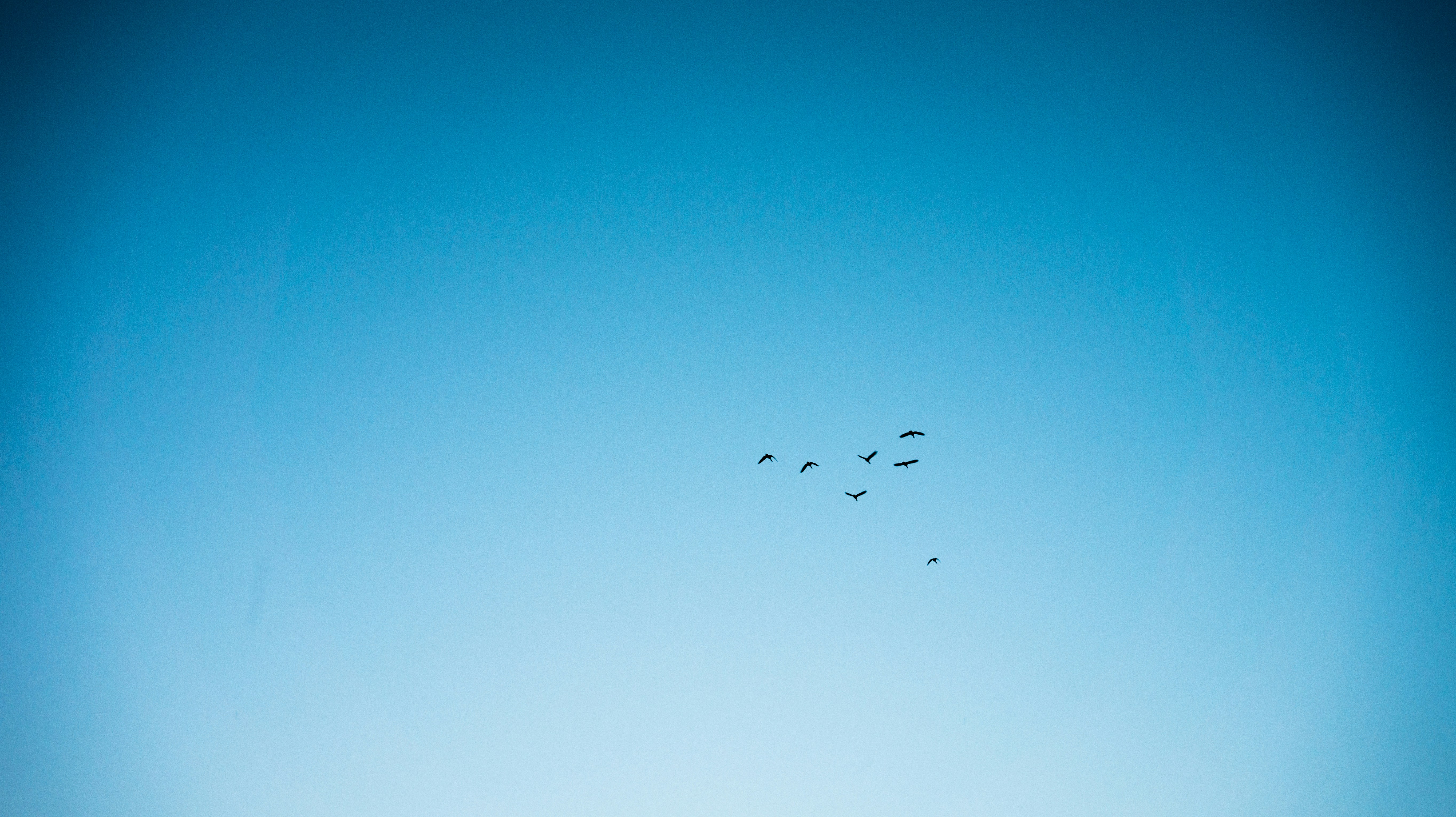 Free Unsplash photo from Malte Bremer