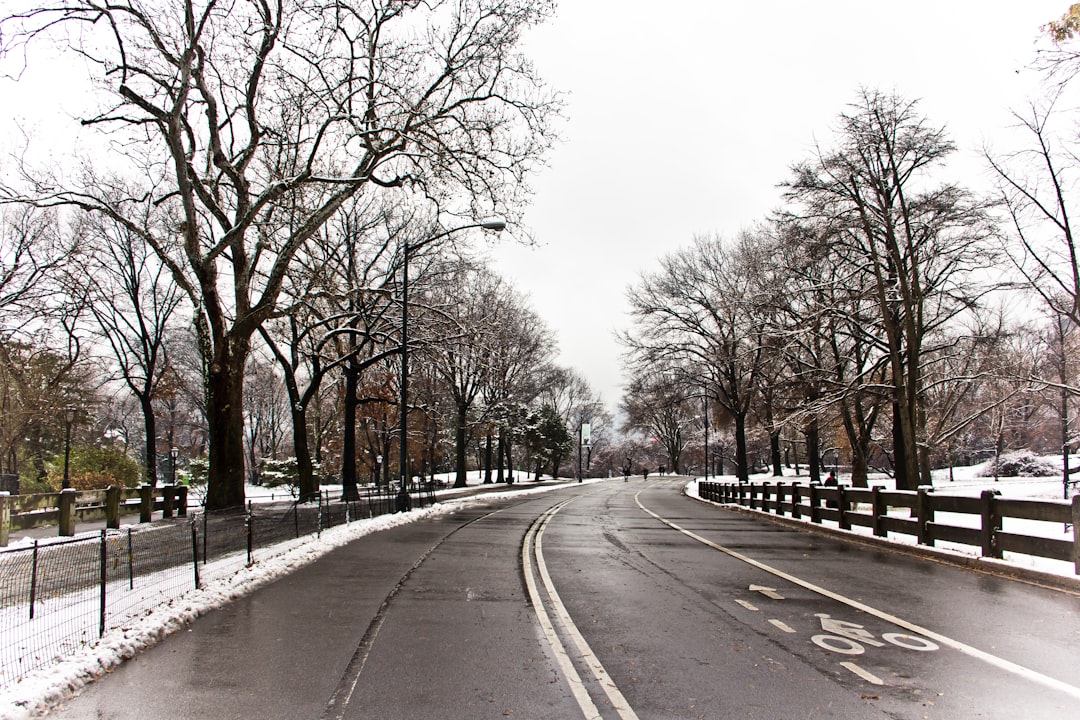 Класс улиц и дорог. Дорога в городе. Зимняя дорога в городе. Зимняя улица дорога. Зимний город с дорогой.