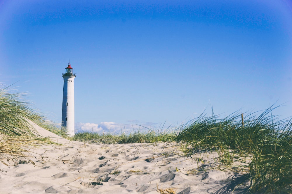 white lighthouse surrounding grass