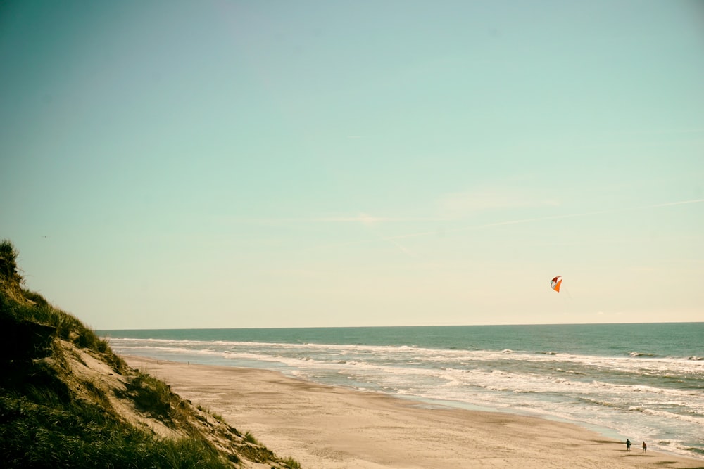海岸で凧揚げをする人