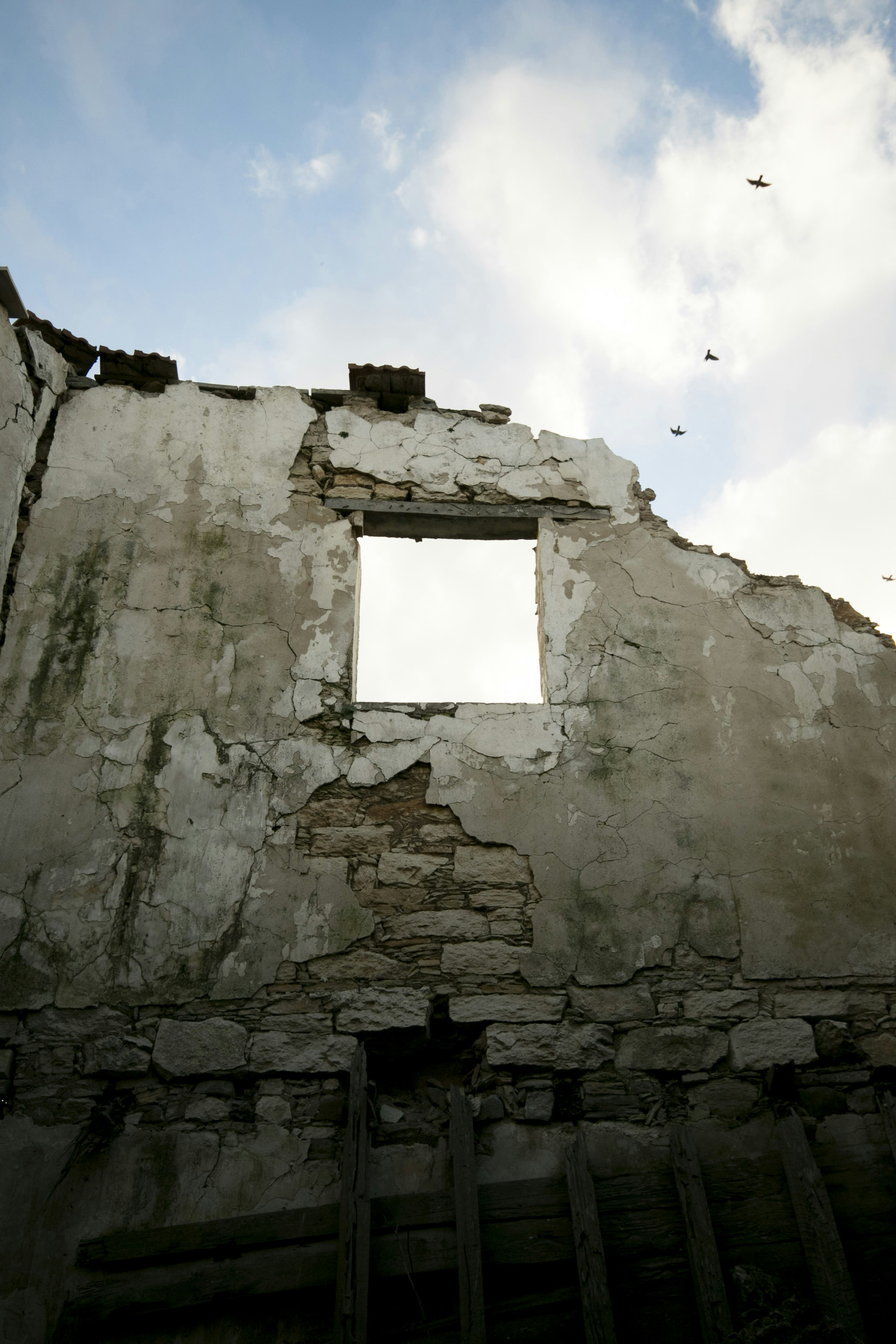 Free Unsplash photo from Despo Potamou