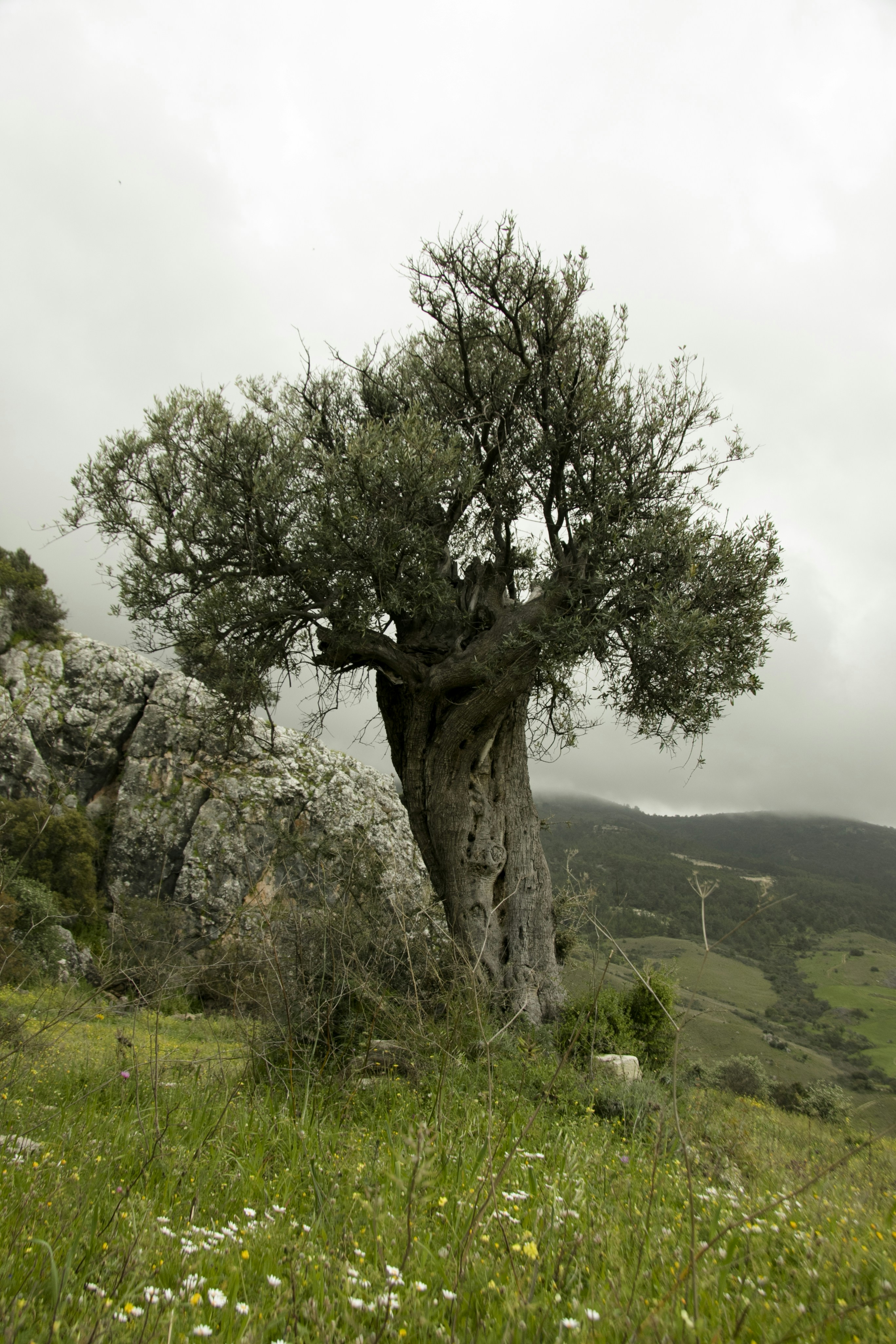 Free Unsplash photo from Despo Potamou