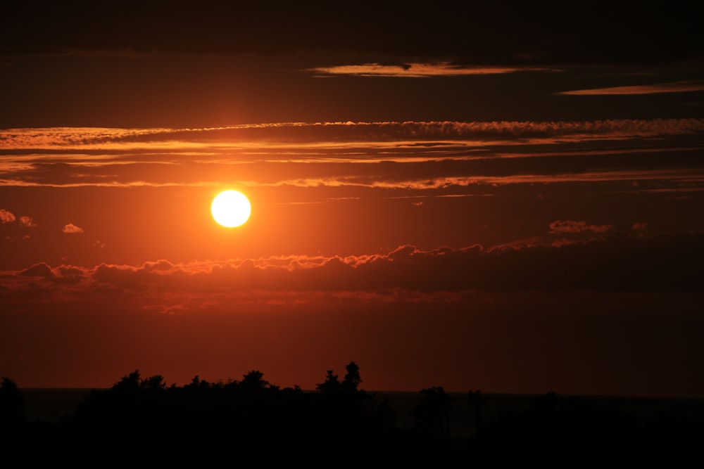 sunset and silhouette of trees