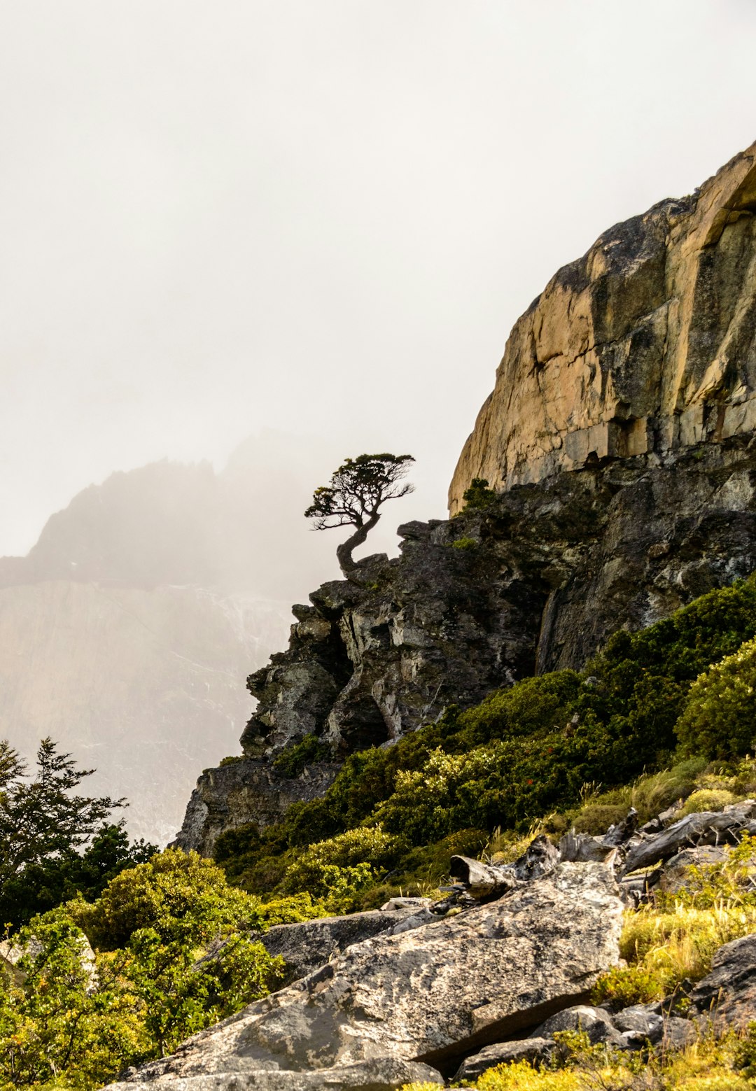 travelers stories about Cliff in Parque Nacional Torres del Paine, Chile