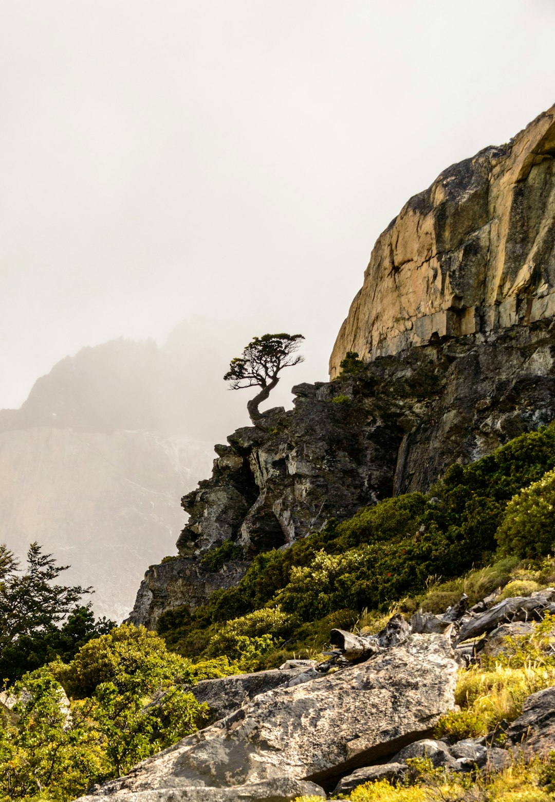 photo of Parque Nacional Torres del Paine Cliff near Torres del Paine National Park
