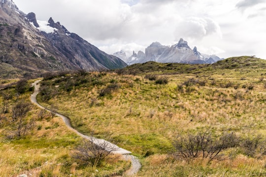 road surrounded by grass near mountains in Parque Nacional Torres del Paine Chile