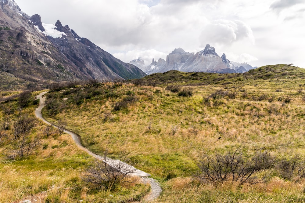 road surrounded by grass near mountains