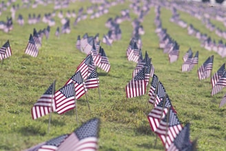 selective focus photography of USA flaglets planted on ground