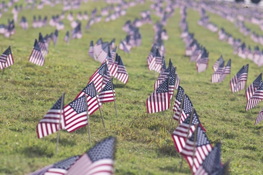 selective focus photography of USA flaglets planted on ground