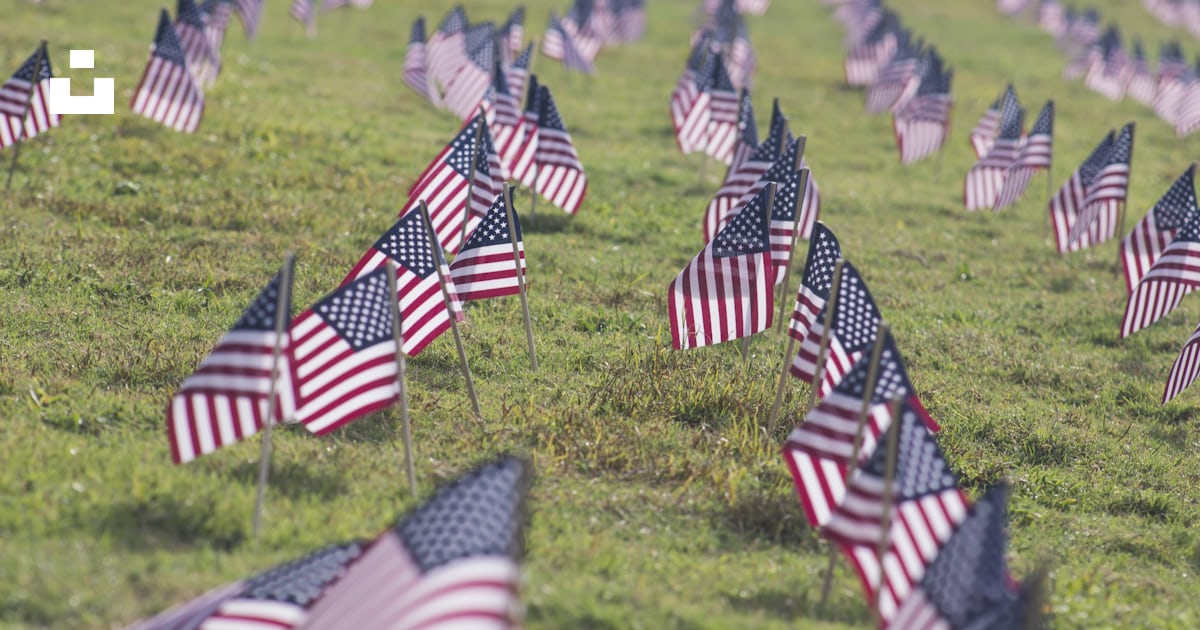 Selective focus photography of USA flaglets planted on ground photo ...