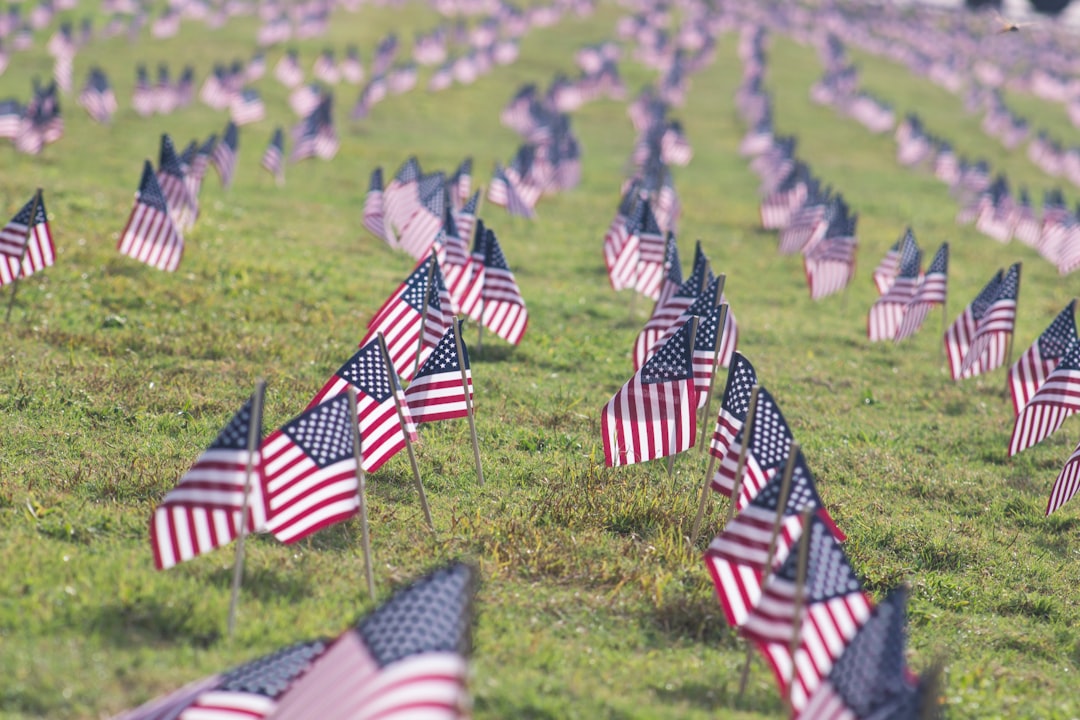 selective focus photography of USA flaglets planted on ground