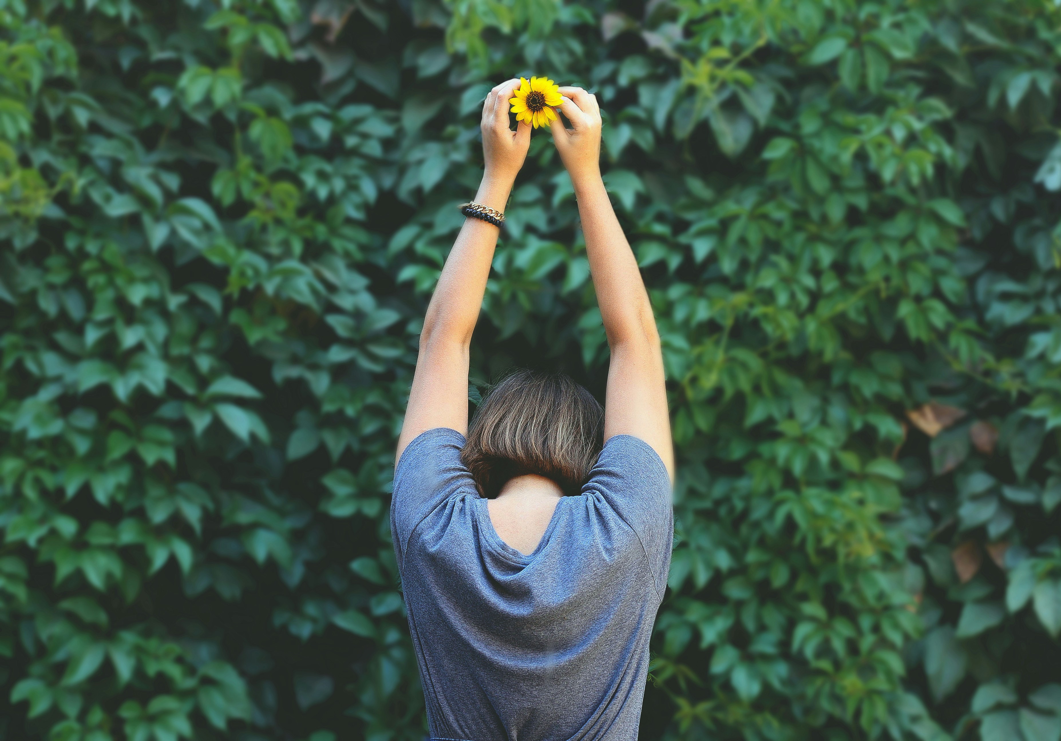 Free Unsplash photo from Catherine Zaidova