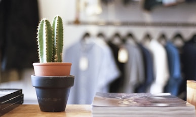 Un cactus dans un pot noir sur un comptoir d'un magasin avec des vêtements en arrière-plan