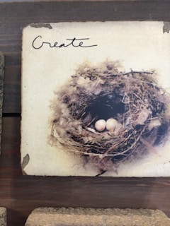 A rustic image featuring a bird's nest containing two small eggs. The nest is intricately woven from twigs and feathers, set against a light background with the word 'Create' handwritten above it.