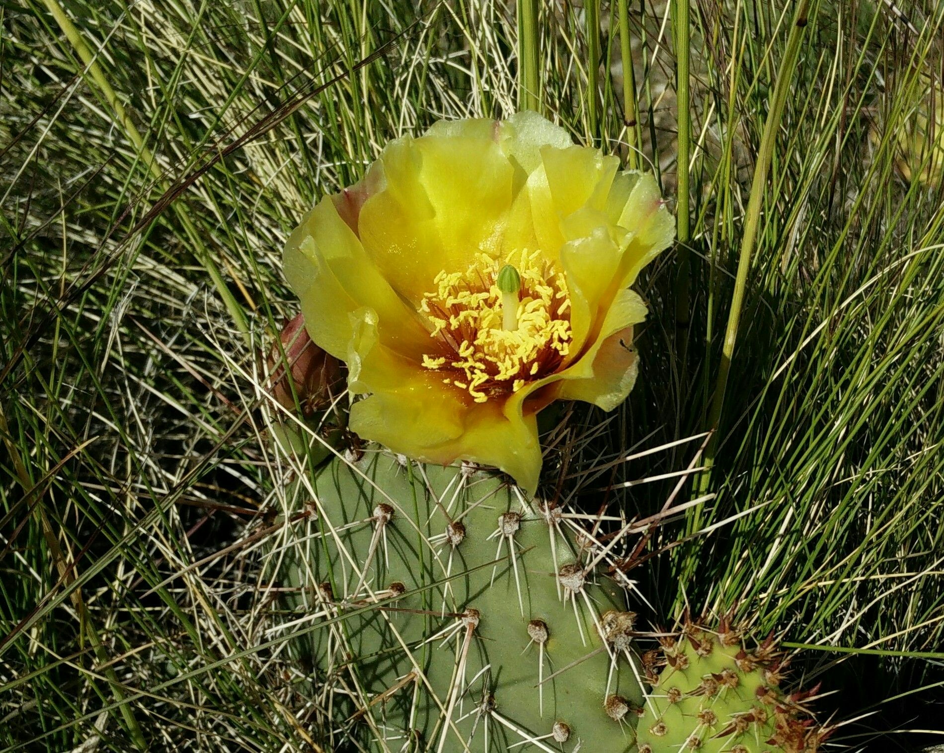 Free Unsplash photo from Lori Hoeck