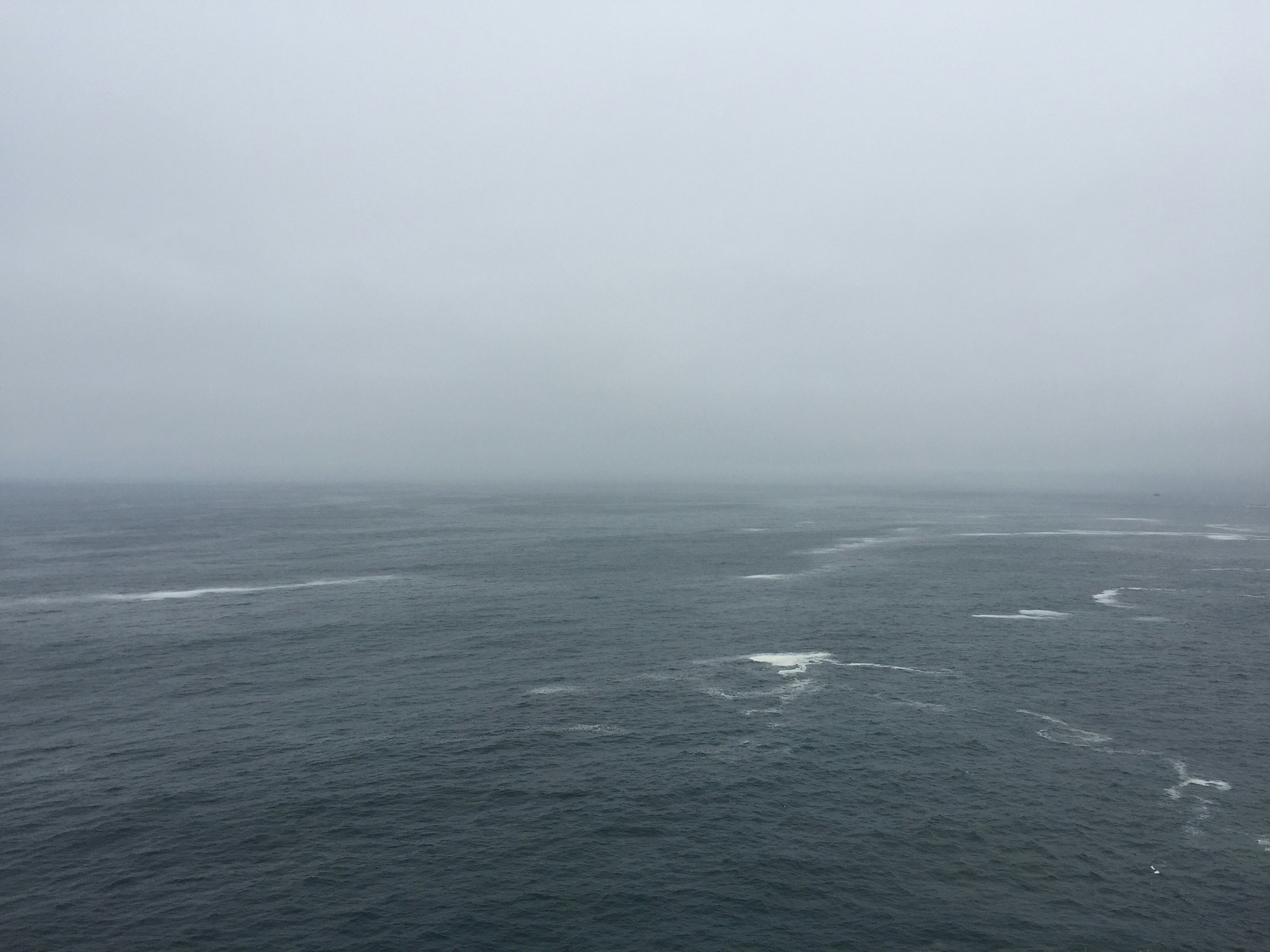 Free Unsplash photo from Daniela Costa