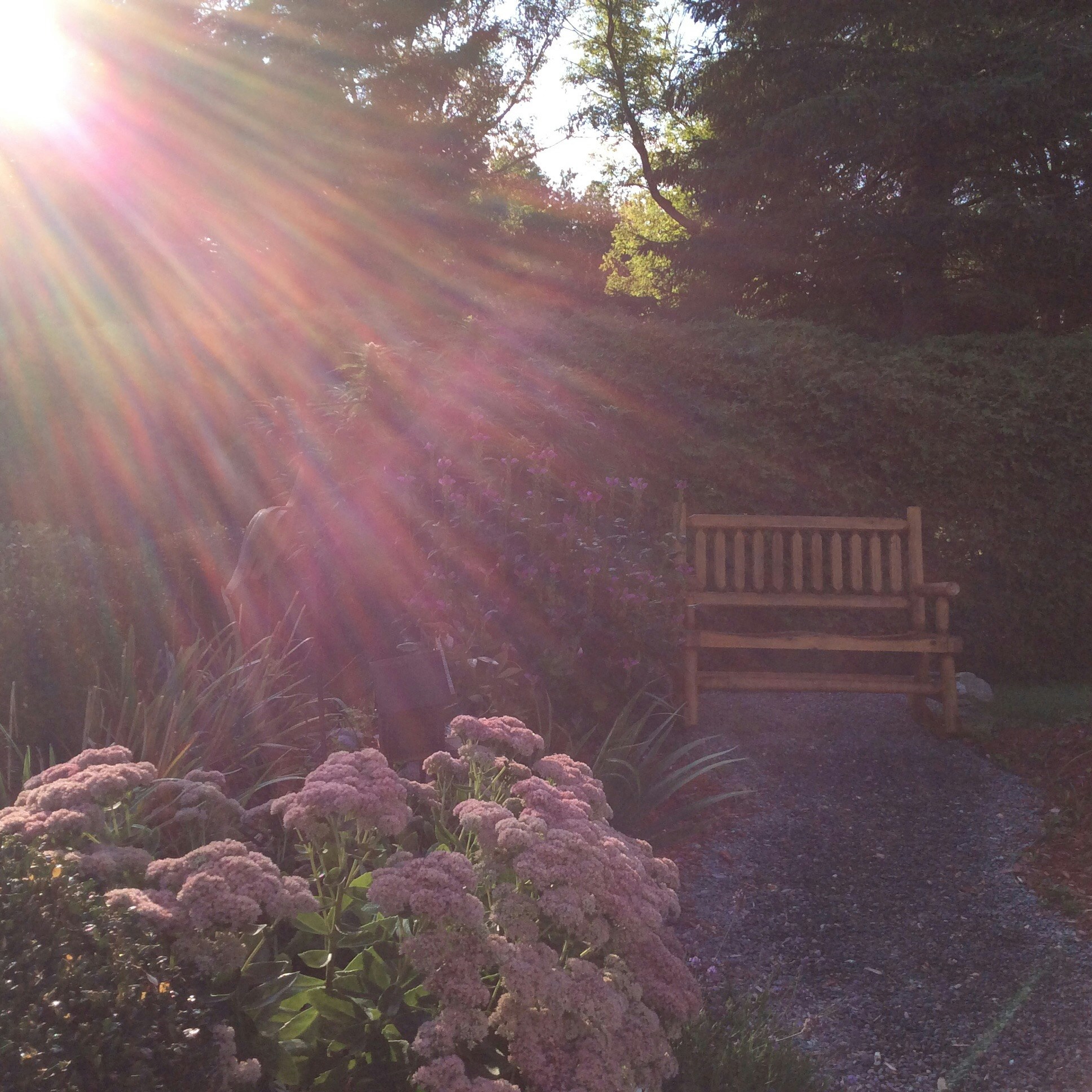 Free Unsplash photo from Cathy Brooks