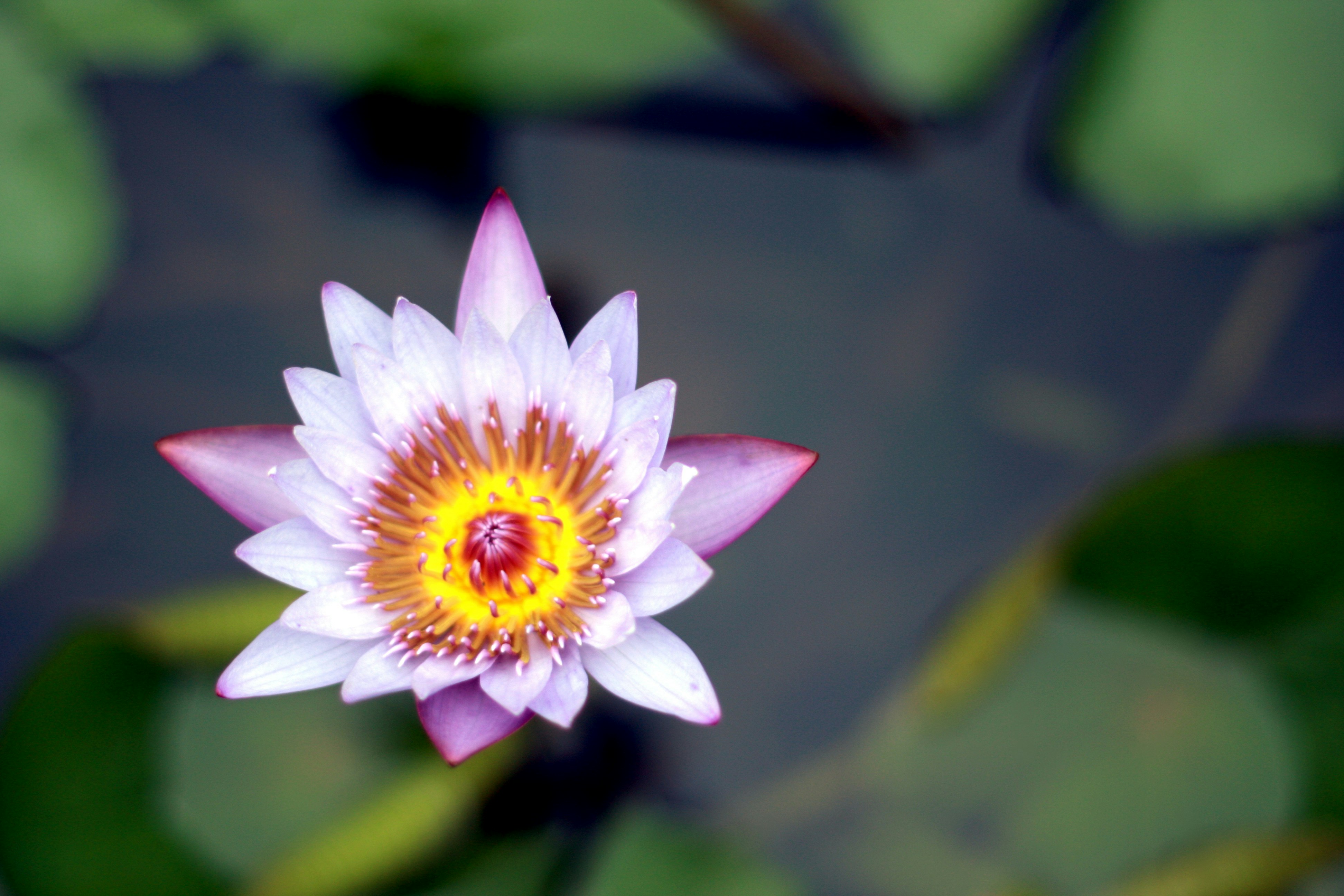 Free Unsplash photo from Brian Chuang