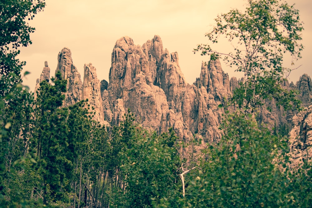 brown mountain in front of trees