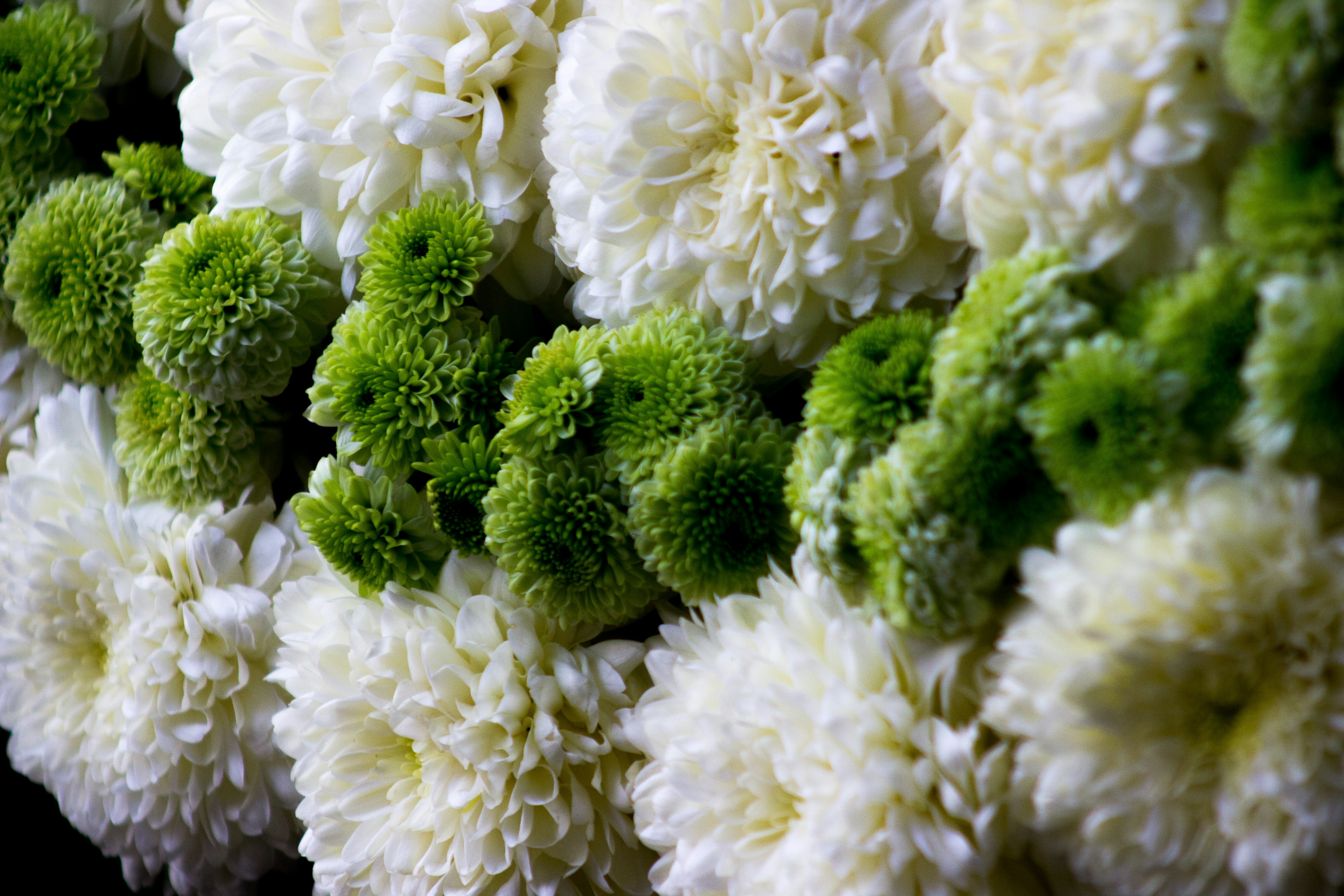 Free Unsplash photo from Jose Ochoa